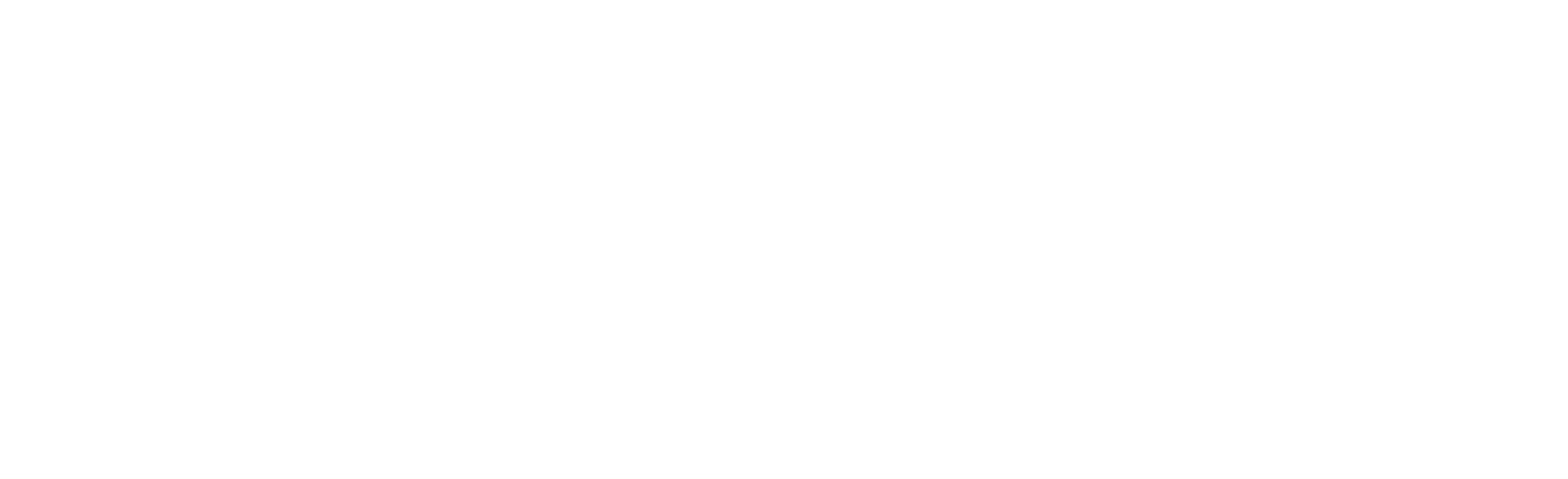 logo_blanco_figmmg